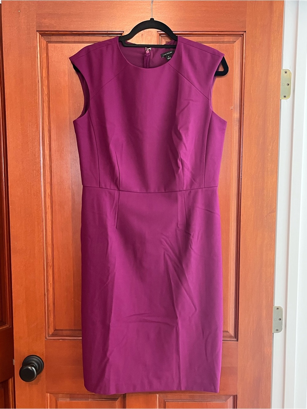 Ann Taylor Raspberry Sheath Dress